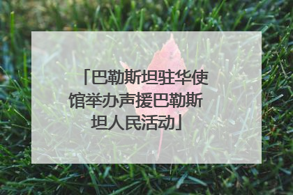 巴勒斯坦驻华使馆举办声援巴勒斯坦人民活动