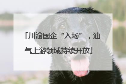 川渝国企“入场”，油气上游领域持续开放
