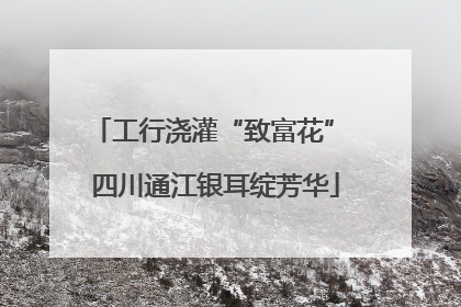 工行浇灌“致富花” 四川通江银耳绽芳华