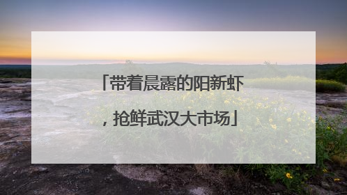 带着晨露的阳新虾，抢鲜武汉大市场