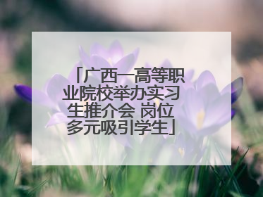 广西一高等职业院校举办实习生推介会 岗位多元吸引学生