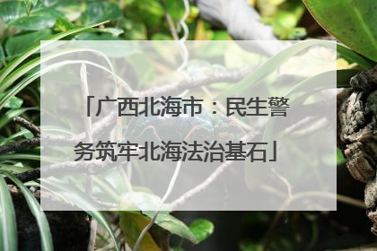 广西北海市：民生警务筑牢北海法治基石
