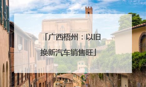 广西梧州：以旧换新汽车销售旺