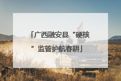 广西融安县“硬核”监管护航春耕