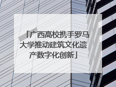 广西高校携手罗马大学推动建筑文化遗产数字化创新
