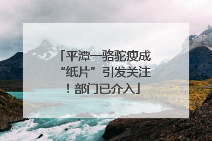 平潭一骆驼瘦成“纸片”引发关注！部门已介入
