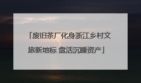 废旧茶厂化身浙江乡村文旅新地标 盘活沉睡资产