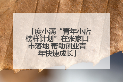度小满“青年小店榜样计划”在张家口市落地 帮助创业青年快速成长