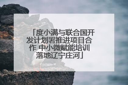 度小满与联合国开发计划署推进项目合作 中小微赋能培训落地辽宁庄河