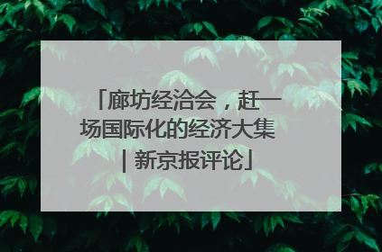 廊坊经洽会，赶一场国际化的经济大集｜新京报评论