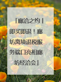 廊洽之约丨即买即退！廊坊离境退税服务端口亮相廊坊经洽会