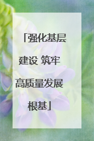 强化基层建设 筑牢高质量发展根基