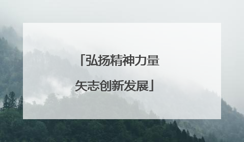 弘扬精神力量 矢志创新发展