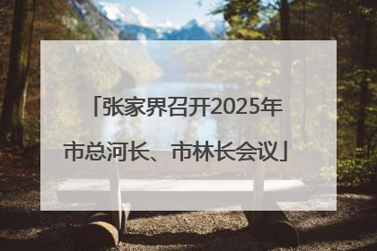 张家界召开2025年市总河长、市林长会议