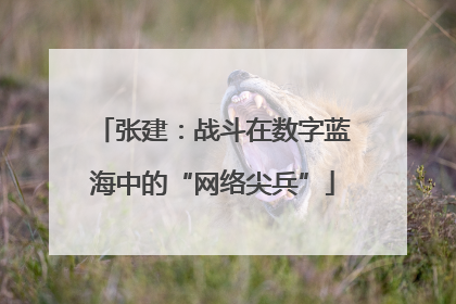 张建：战斗在数字蓝海中的“网络尖兵”