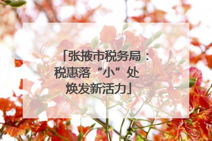 张掖市税务局：税惠落“小”处 焕发新活力