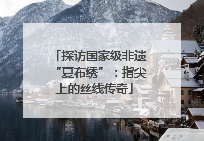 探访国家级非遗“夏布绣”：指尖上的丝线传奇