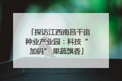 探访江西南昌千亩种业产业园：科技“加码” 果蔬飘香