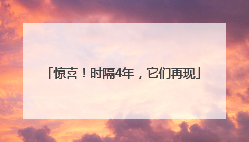 惊喜！时隔4年，它们再现