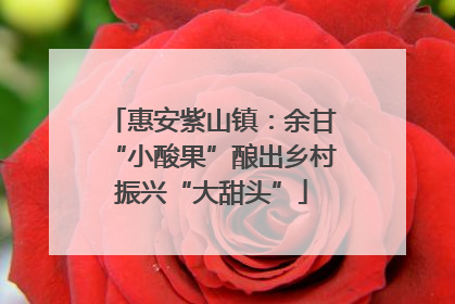 惠安紫山镇：余甘“小酸果”酿出乡村振兴“大甜头”