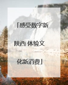 感受数字新陕西 体验文化新消费