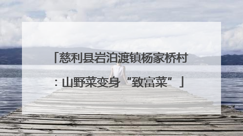 慈利县岩泊渡镇杨家桥村：山野菜变身“致富菜”