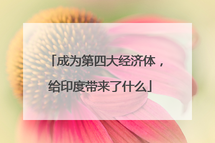 成为第四大经济体，给印度带来了什么