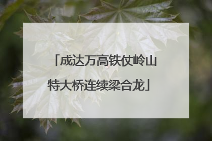 成达万高铁仗岭山特大桥连续梁合龙