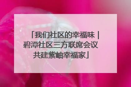我们社区的幸福味｜碧潭社区三方联席会议共建紫岫幸福家
