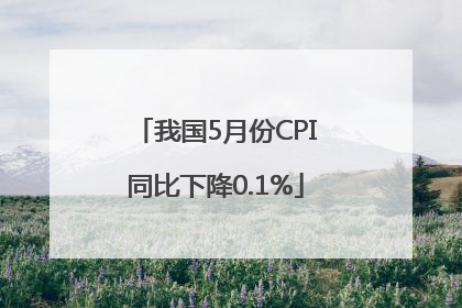 我国5月份CPI同比下降0.1%