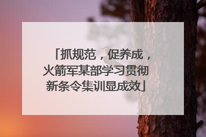 抓规范，促养成，火箭军某部学习贯彻新条令集训显成效