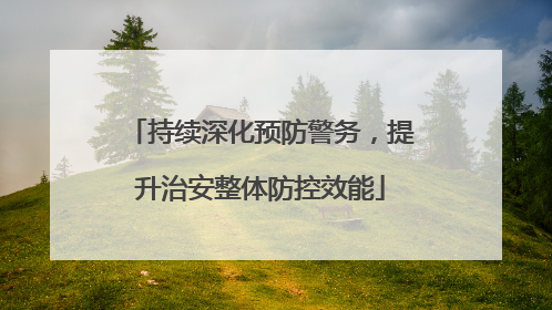 持续深化预防警务，提升治安整体防控效能
