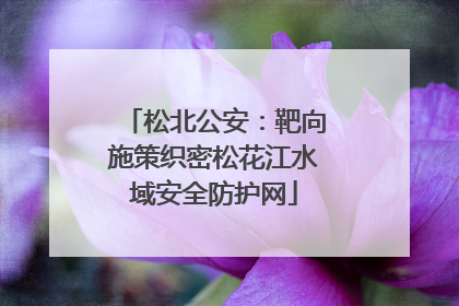 松北公安：靶向施策织密松花江水域安全防护网