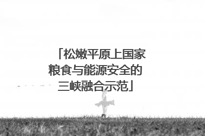 松嫩平原上国家粮食与能源安全的三峡融合示范