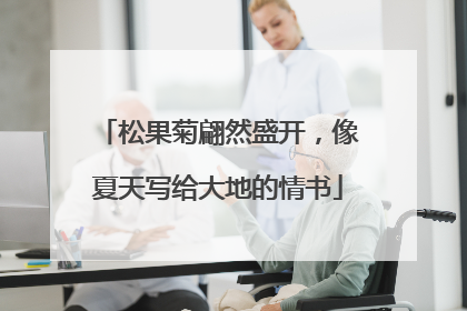 松果菊翩然盛开，像夏天写给大地的情书