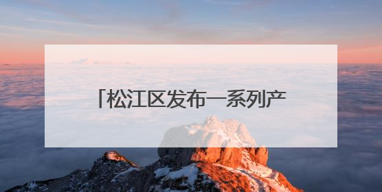 松江区发布一系列产教融合创新合作项目