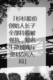 杉杉股份创始人长子全部持股被强执，知名牛散魏巍斥资1亿元入局