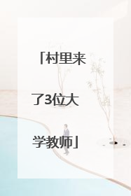 村里来了3位大学教师