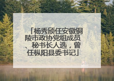 杨秀颀任安徽铜陵市政协党组成员、秘书长人选，曾任枞阳县委书记