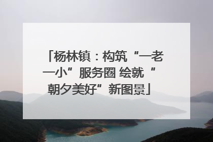 杨林镇：构筑“一老一小”服务圈 绘就“朝夕美好”新图景