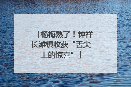 杨梅熟了！钟祥长滩镇收获“舌尖上的惊喜”