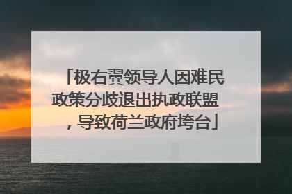 极右翼领导人因难民政策分歧退出执政联盟，导致荷兰政府垮台