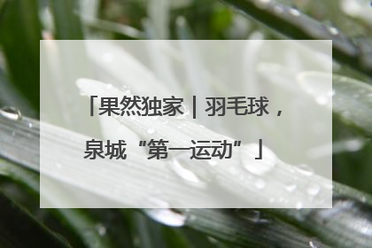 果然独家｜羽毛球，泉城“第一运动”