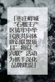 枣庄峄城“石榴主产区铸牢中华民族共同体意识联盟项目”将以“六联”活动为抓手深化品牌建设