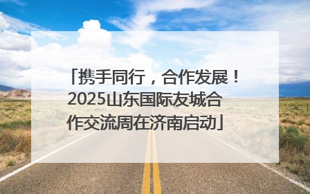 携手同行，合作发展！2025山东国际友城合作交流周在济南启动
