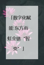 数字化赋能 东方雨虹全链“智变”