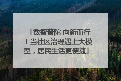 数智普陀 向新而行〡当社区治理遇上大模型，居民生活更便捷