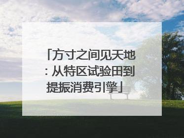 方寸之间见天地：从特区试验田到提振消费引擎