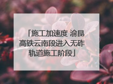 施工加速度 渝昆高铁云南段进入无砟轨道施工阶段
