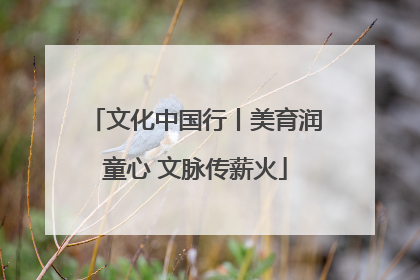 文化中国行丨美育润童心 文脉传薪火